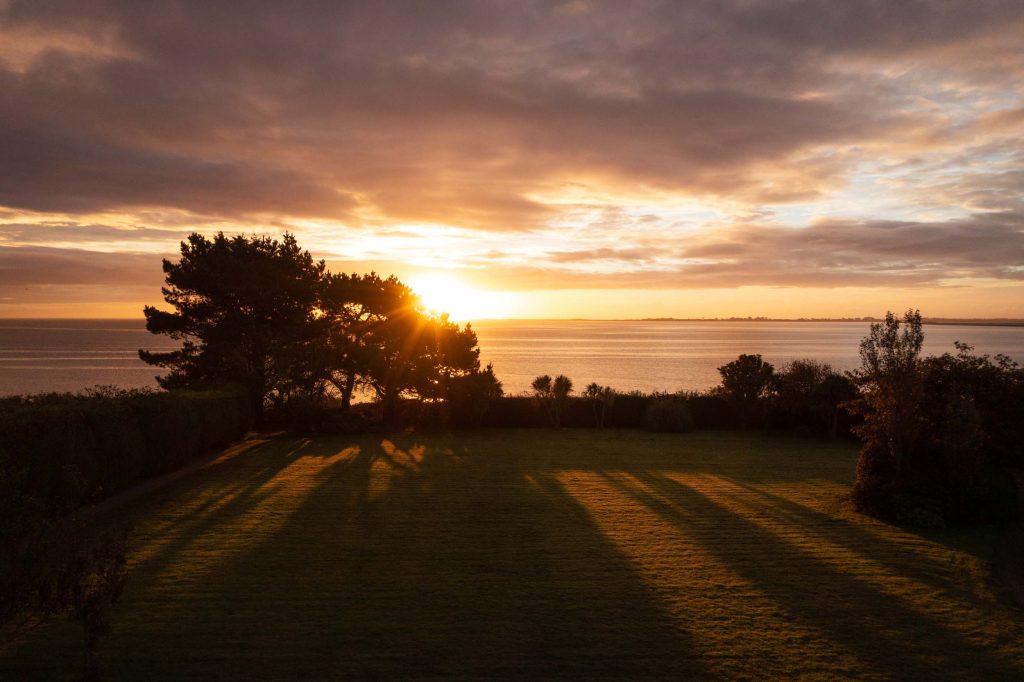 Wexford View